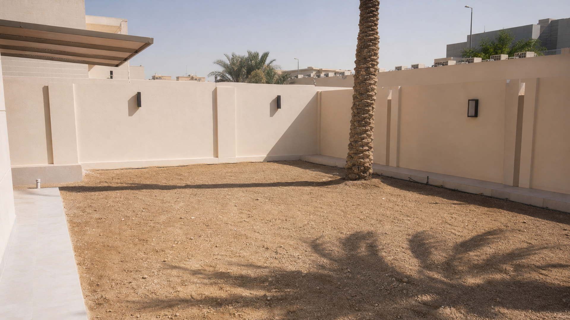 بداية الزراعة — براعم صغيرة